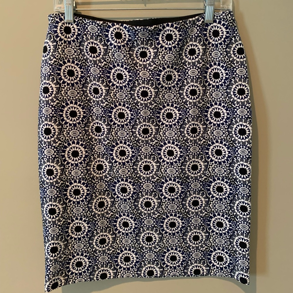 Ann Taylor skirt